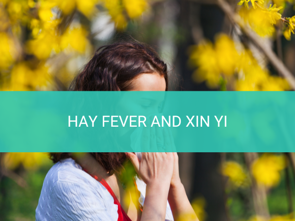 Hay Fever and Xin Yi