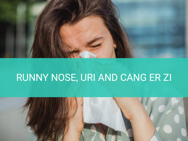 Runny Nose, URI and Cang Er Zi