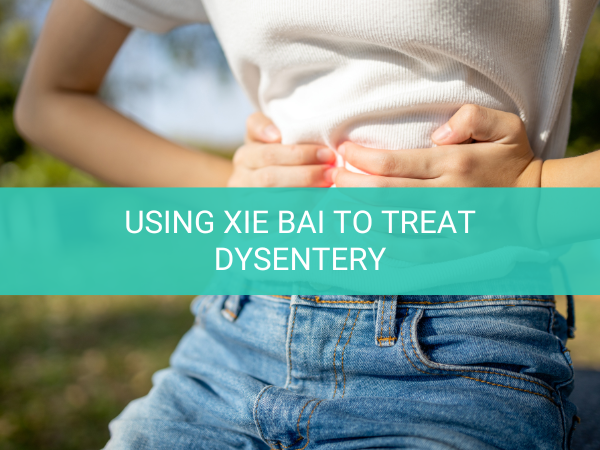 Using Xie Bai To Treat Dysentery