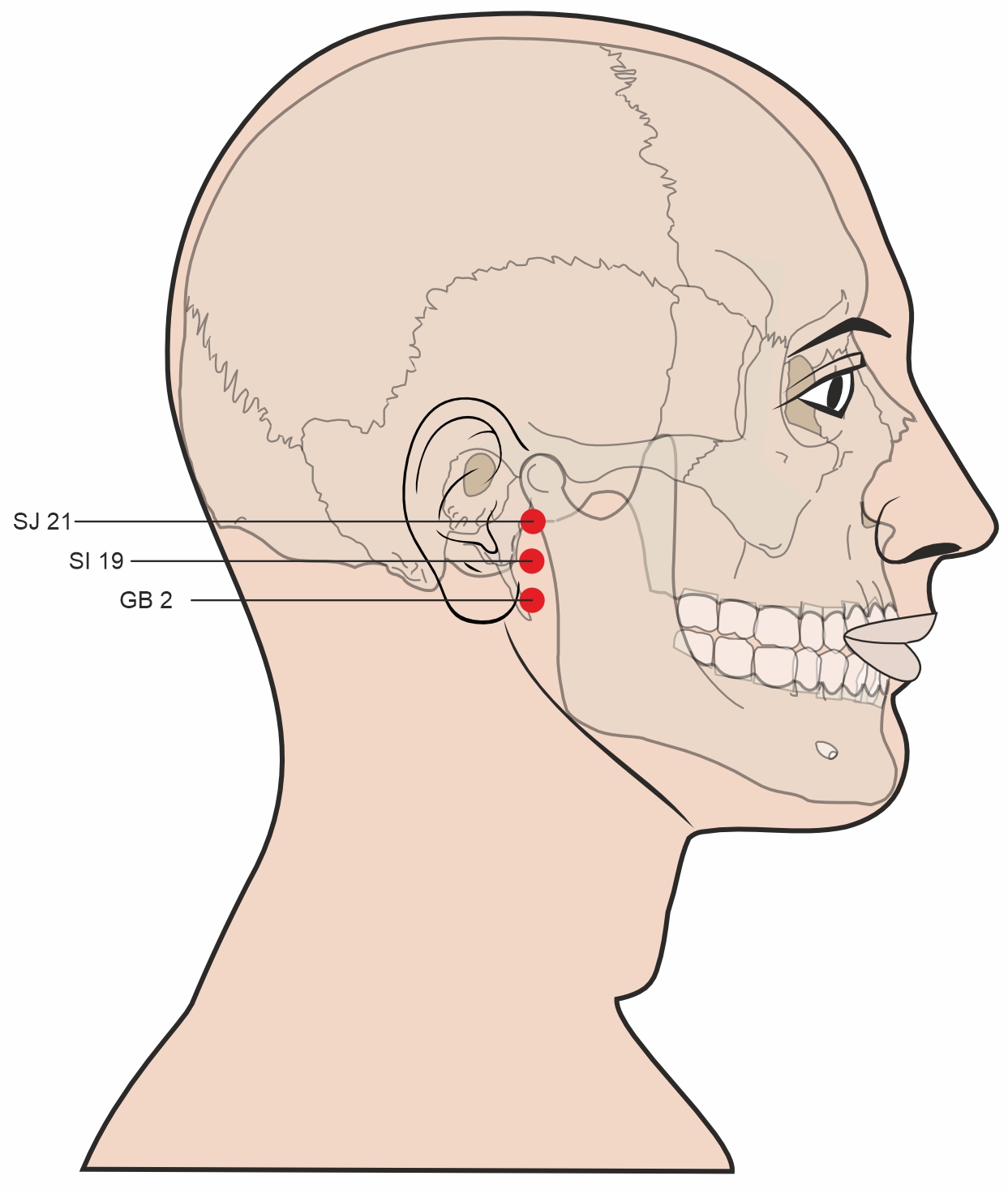 Illustration of Tinggong