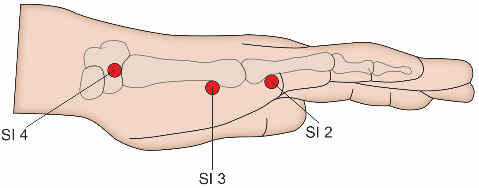 Qiangu Acupoints